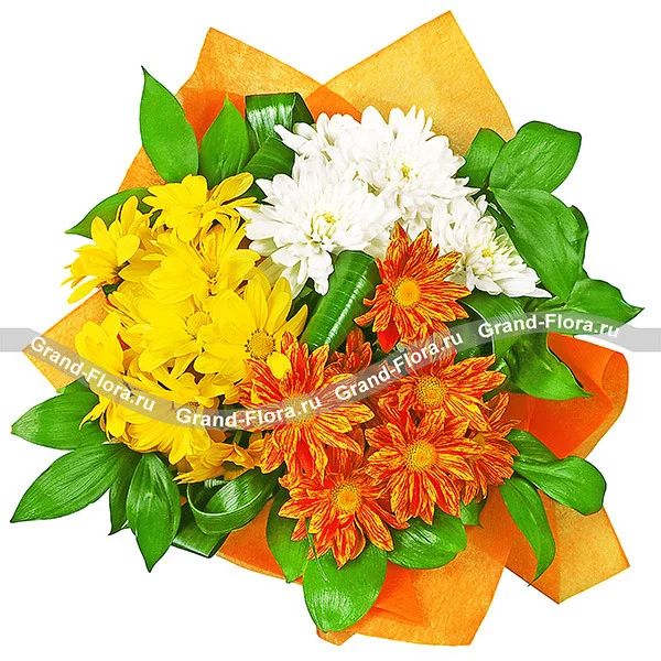 Солнечные блики - букет из разноцветных кустовых хризантем(акционное предложение)